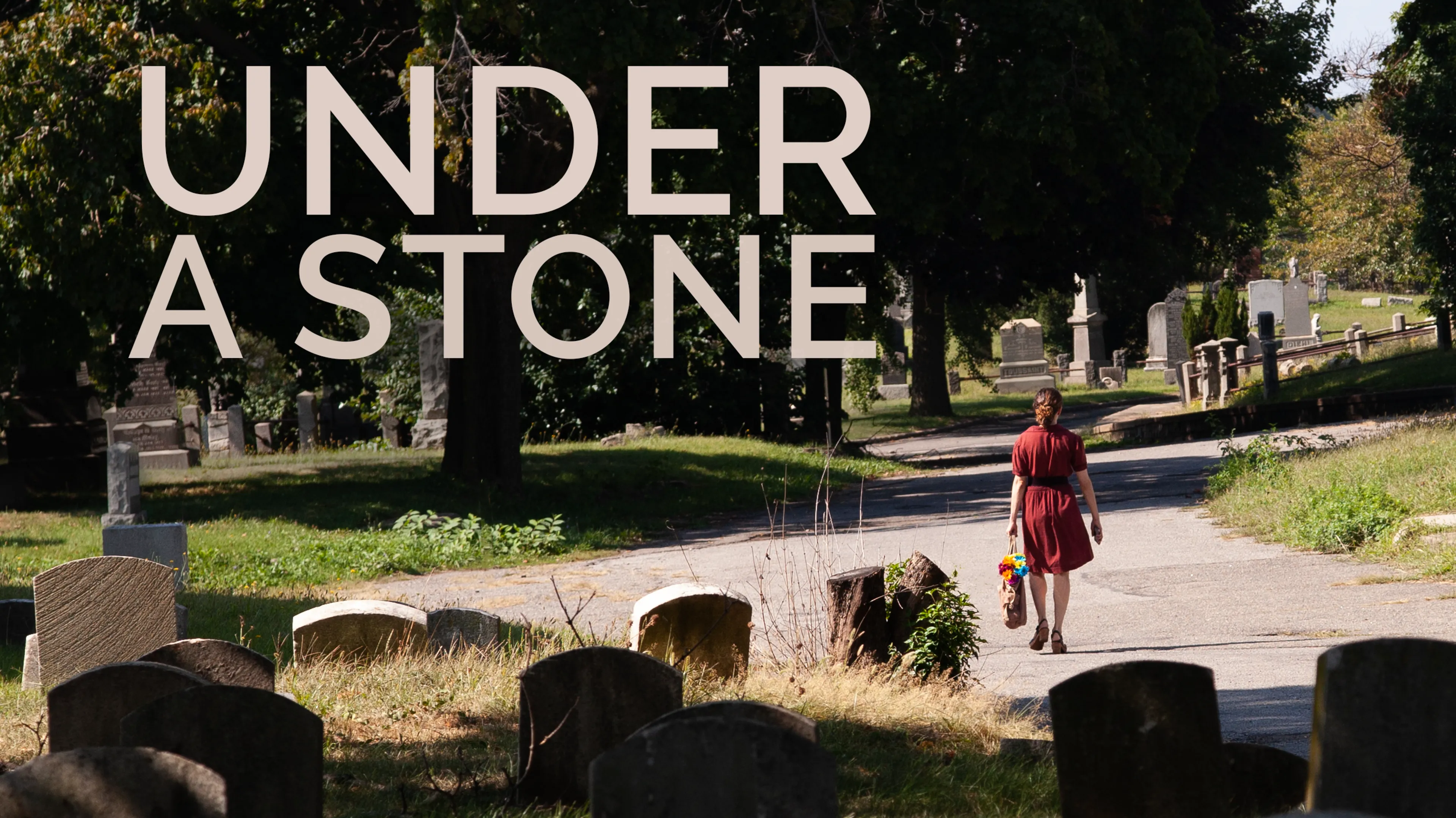 Under a Stone poster